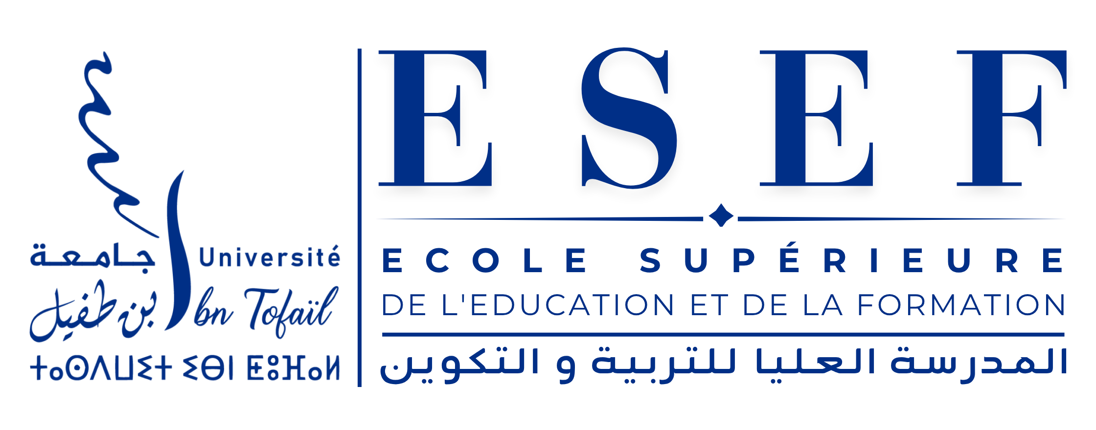 ESEF Kénitra Logo